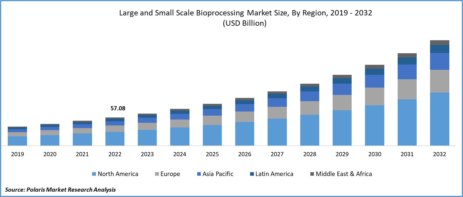 Large and Small Scale Bioprocessing Market Size